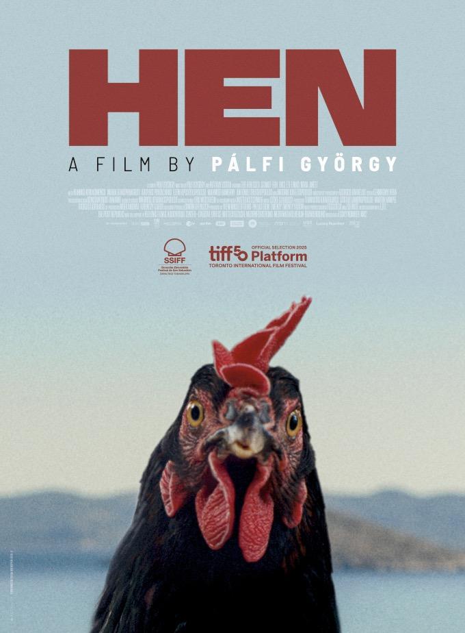 HEN - Gallina